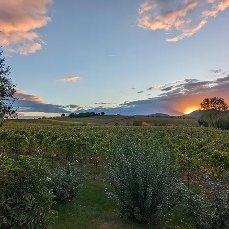 アパート Bella *