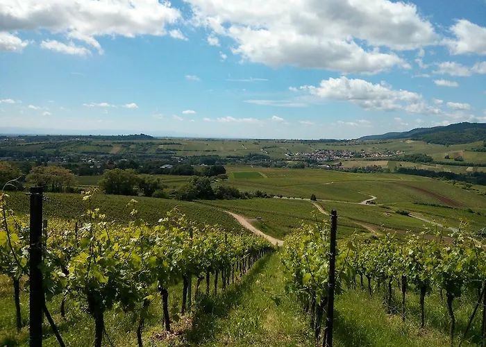 Bella Harthausen (Rhineland-Palatinate)